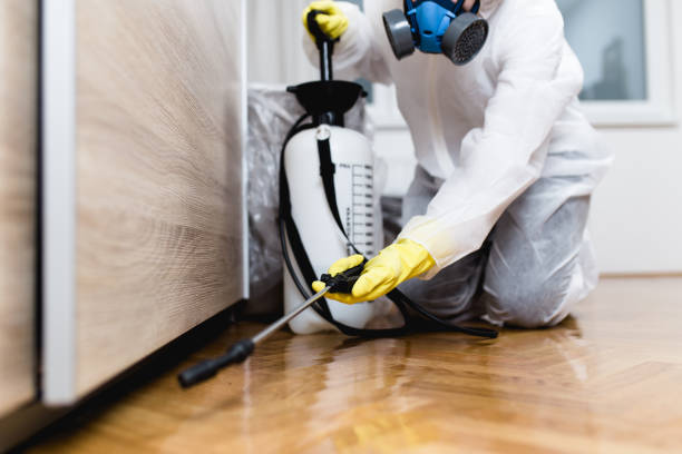 Best Residential Pest Control  in Washington, KS