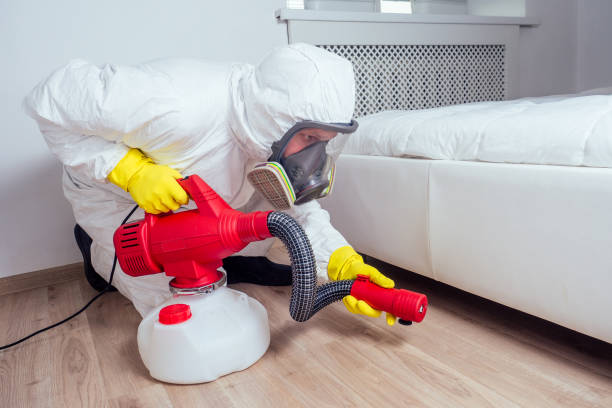 Best Flea Control Services  in Washington, KS