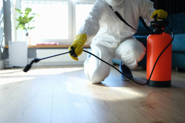 Best Flea Control Services  in Washington, KS