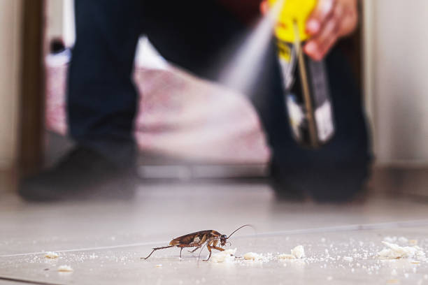 Best Emergency Pest Control  in Washington, KS