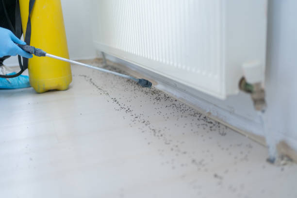Best Termite Control Services  in Washington, KS