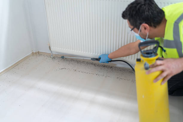Best Affordable Pest Control Services  in Washington, KS