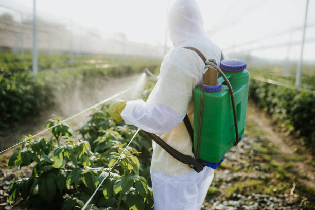 Best Exterminator Services  in Washington, KS